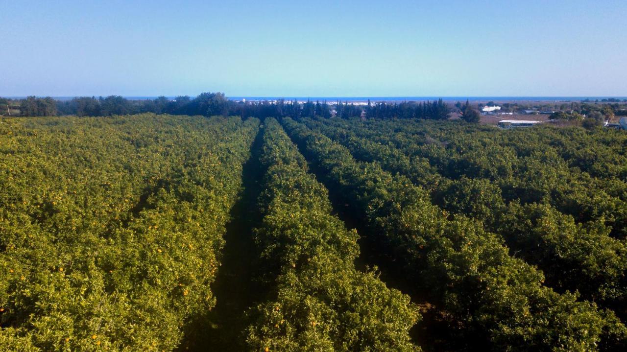 Willa Quinta Da Pintassilga Tavira Zewnętrze zdjęcie